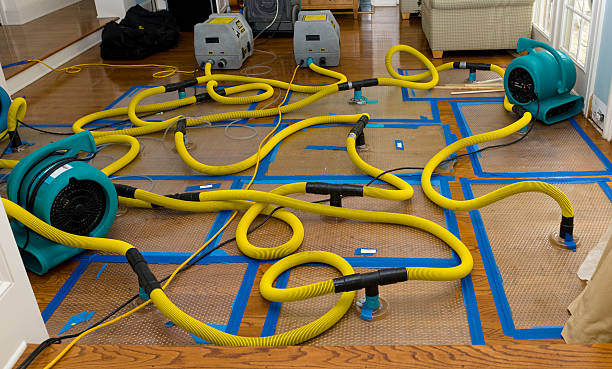 Professional Water Extraction technician working in Sun City Center, FL
